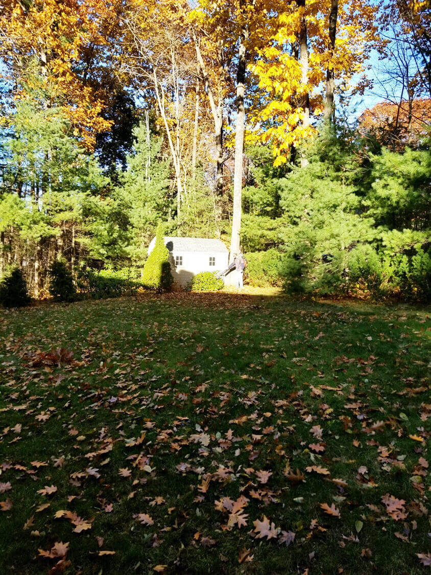 Fall Property Management in Maine