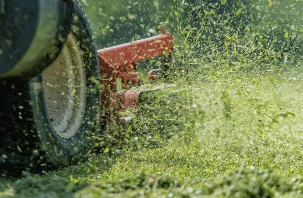 4 Reasons Why You Shouldn’t Be Mowing Wet Grass