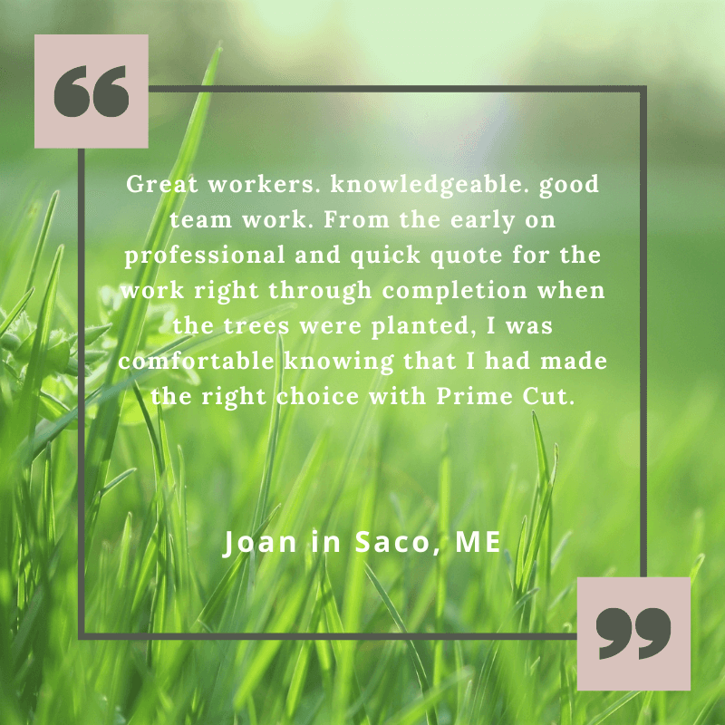 Review from Joan in Saco about Prime Cut Landscaping