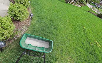 Fertilizing Your Lawn in the Fall: What You Need To Know