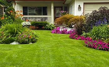 Flower beds with color and height planning and planting in Maine
