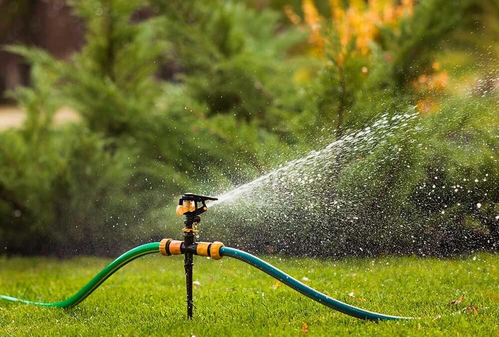 4 Tips to Help Maintain Your Maine Lawn During The Summer 
