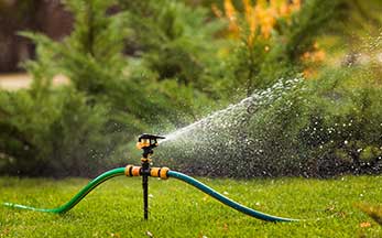 Improve your lawn with 6 simple steps - watering lawn