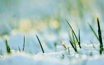 Spring Lawncare Checklist: 7 Tips to Bring Your Lawn Back to Life After a Long Maine Winter