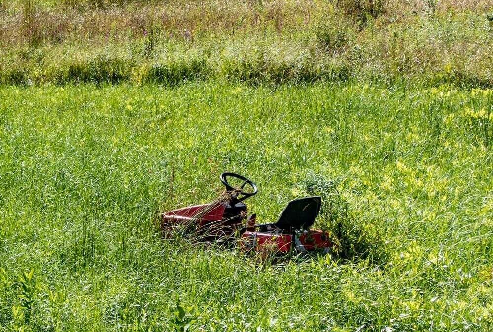 Mowing Your Maine Lawn: How Often Should You Mow in the Summer?