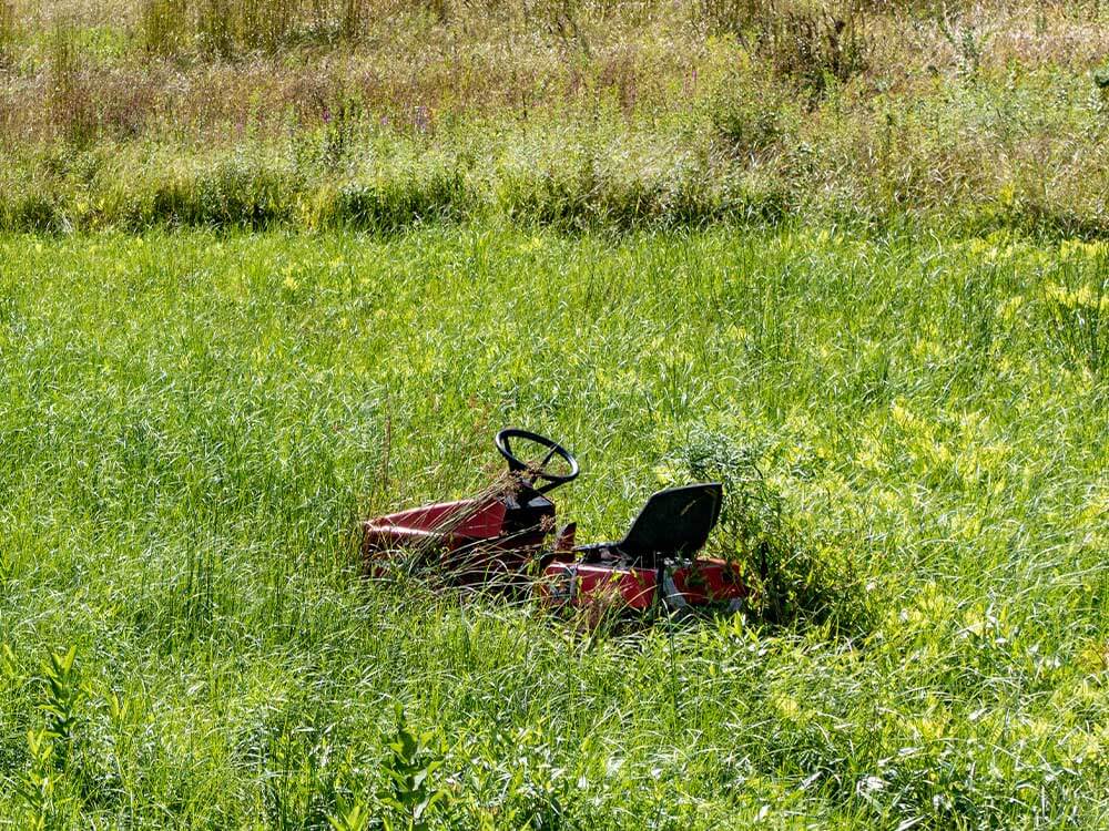 lawnmower in overgrown lawn