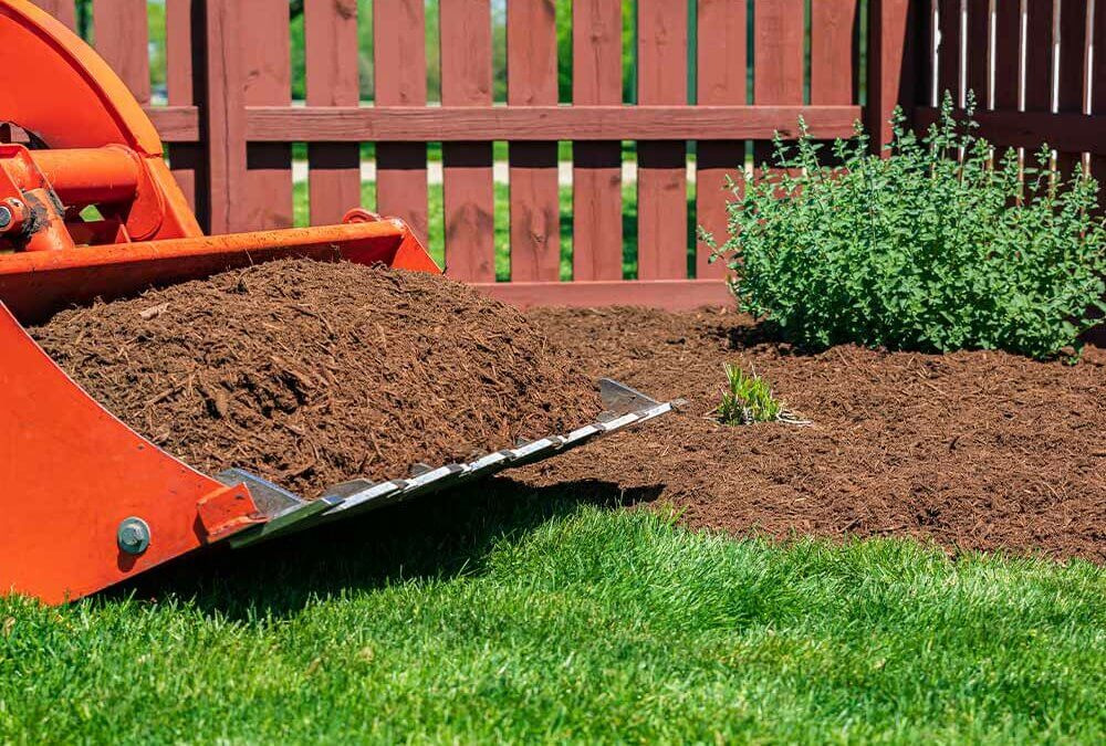 Your Year-Round Maine Lawn Care Guide: Maintenance Tips for Each Season