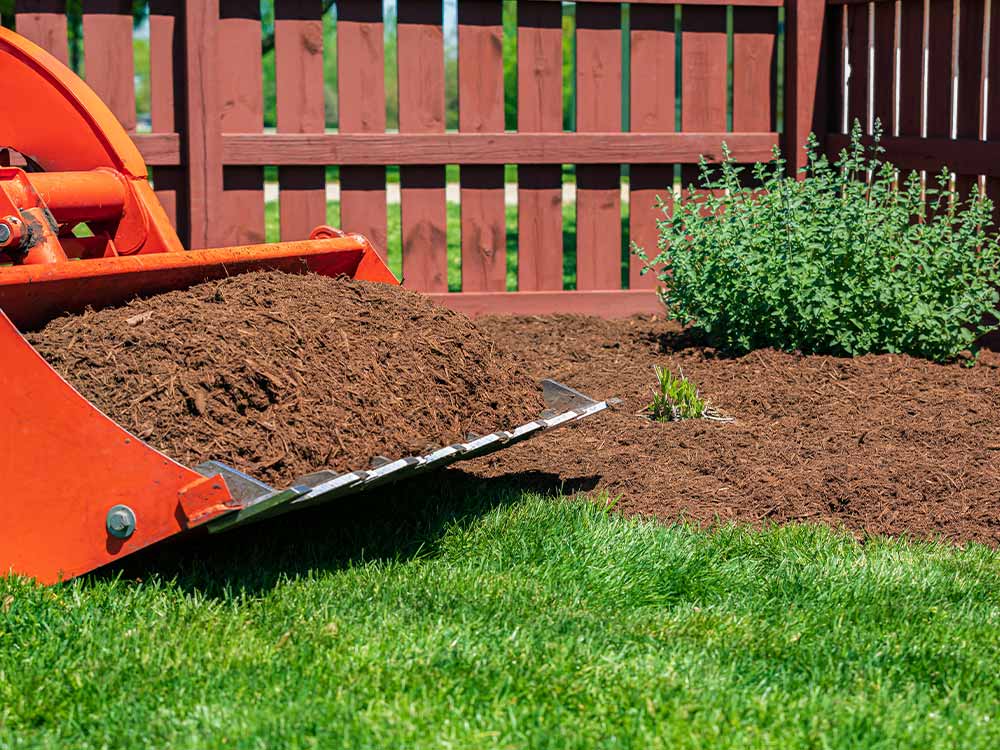 Tractor with mulch in yard