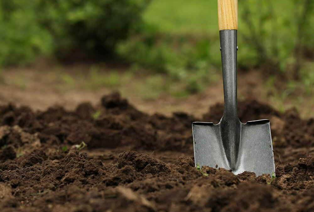 All About Loam Soil: What is it & What is it Used For?