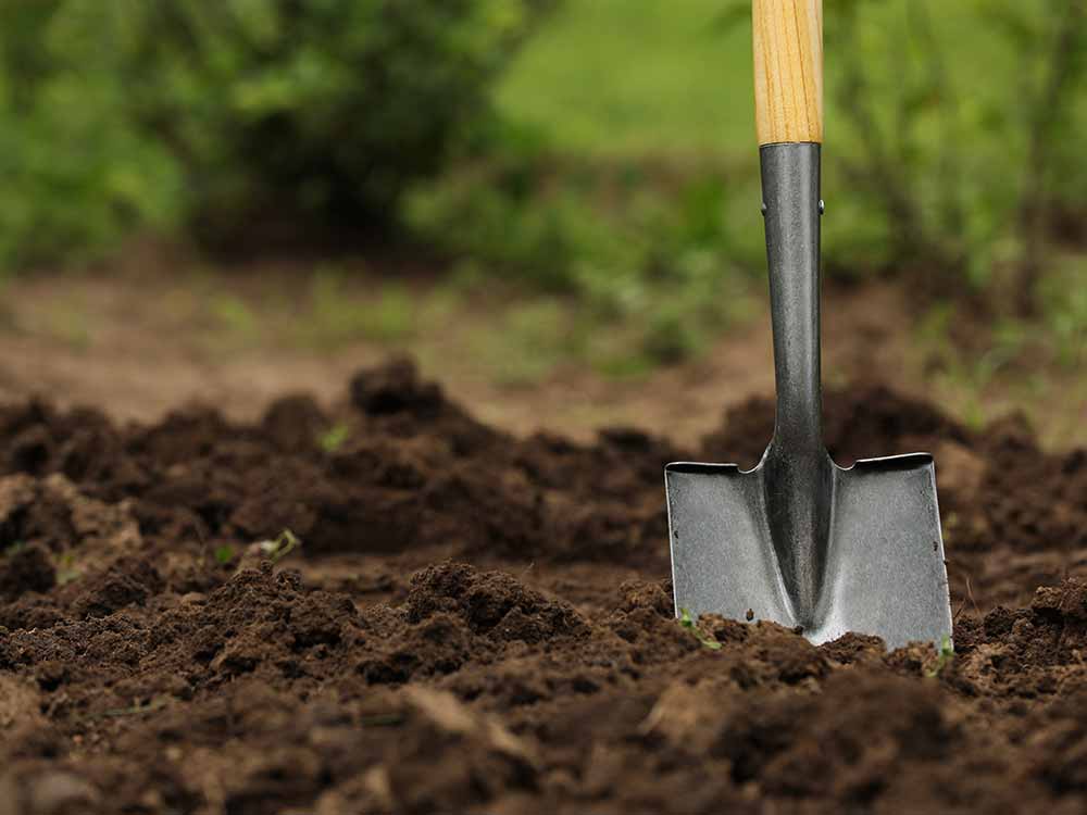 Shovel in soil outdoors, gardening tool